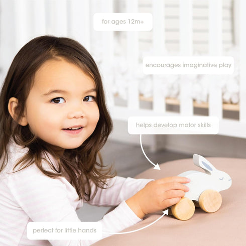 Pearhead Wooden Toy Bunny, Push and Pull Montessori Toy for Baby Girl or Boy Nursery Accessory