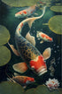 500 Pieces Puzzle for Adults - Lotus Koi Fish Wooden Jigsaw Puzzles Challenging Educational Fun Toys for Family Creative Gift