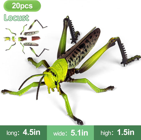 ECOHDT 7Pcs 3D Kids,1:1 5 6 7 8+ Set,Educational Lifelike Puzzles for Replica Insect Building Toys for Year Old Boys