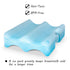 Pack Pack 9 Oz CURMIO Bottle Ice for Breastmilk Storage Bag, Reusable Ice for Breastfeeding Working Moms (Fits