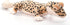 The Petting Zoo Leopard Gecko Stuffed Animal, Gifts for Kids, Wild Onez