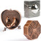 Brain Teaser Puzzles, 3 Pieces Metal Cast Puzzle Games, 3D Highly Difficult Adult Puzzles, IQ Educational Box