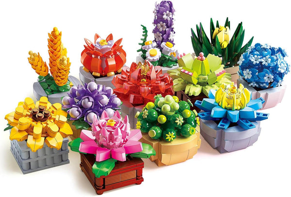 Succulents Set for Adults Building Sets, 12 Plants, Home Decor, Birthday Gifts