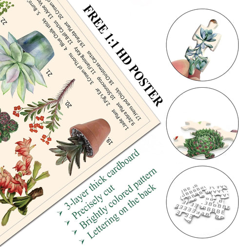 Vintage Succulent Puzzles for Adults - 1000 Pieces - Cactus Jigsaw Puzzle Featuring 23 Succulent Plants