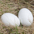Masterproofing Wooden Fake Eggs, Easter Eggs-6 Pieces (White)