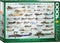 EuroGraphics World War I Aircraft: 1000 Piece Puzzle (6000-0087)