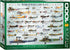 EuroGraphics World War I Aircraft: 1000 Piece Puzzle (6000-0087)