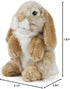 7 inches Living Nature Brown Sitting Lop Eared Rabbit Stuffed Animal | Fluffy Rabbit Animal | Soft Toy for Kids |