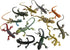 Plastic Lizard Toys - Realistic Rubber Reptile Figures for Halloween Party Decoration, 12Pcs