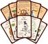 Steve Jackson Games Munchkin Lite Card Game - Family Fantasy Adventure Game
