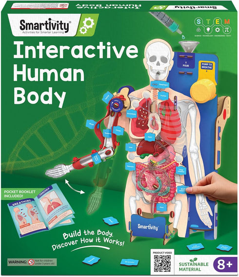 Smartivity Interactive Human Body Model for Kids 8-14 Years I Dynamic Body