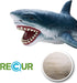 Gemini&Genius Sea Animal Great White Shark Action Figure - Megalodon Shark Model Toy, Soft Rubber Realistic Ocean Shark