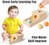 Busy Edition Montessori Toys for Babies 6-12 Months, Object Permanence Box Wooden Ball Drop Toy for Toddlers