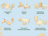 1/12 3D Large,28 BOHS Wooden Dolls House Furniture Scale - Puzzles for Miniature Dollhouse Furniture Accessories - PCS
