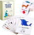 MINIARTIS Musical Flash Cards for Kids | Learning Notes Reading | Educational Color Coded Music Note Theory Flashcards