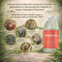 100% 64 Oz/Half-Gallon (Pack 1) NTRSNS NaturSense Pure Castile Soap. Unscented, made with Certified Organic Oils