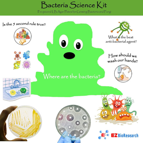 Bacteria Science Kit (IV) Gift Pack, Prepoured LB-Agar Plates and Cotton Swabs, Free Science Fair Project E-Book