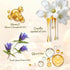 2Pack Teething Roller, Mamas Teether: Teething Oil Roller, Teething Roller All Natural,Natural Gentle Teething Comfort