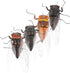 Toyvian 4Pcs Plastic Cicada Fake Model, Simulated Insect Toys for Joke Halloween Party Favors, Random Color