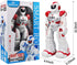 Programmable Remote Control Robots for Kids,Intellectual Gesture Sensor RC Robot Toys with Infrared Controller,Early