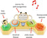 Tummy 5 2 3m+ Skip Hop Time & Seated Play Cause & Effect Developmental Baby Toy with Activities and Ways to Play