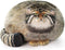 Sew Butiful Pallas Cat Stuffed Animal, 45cm/18inch Steppe Cat Plush Cute Plushies for Girls,Kitten