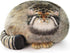 Sew Butiful Pallas Cat Stuffed Animal, 45cm/18inch Steppe Cat Plush Cute Plushies for Girls,Kitten