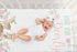 Sweet Jojo Designs Fitted Baby Crib Sheets (Woodland Deer Floral) for Girls, Infant Nursery, Toddler Room - Standard