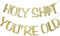 Holy You're Old Banner Gold Glitter for 30th to 90th Birthday, Funny Birthday Banner Sign Bunting Party Decor