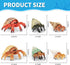 6PCS Hermit Crab Figurines Toys,Ocean Sea Animals Toys Figures, Realistic Soft Sea Creatures Toys for Kids Boys