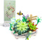 MEIEST Mini Building Blocks Succulent Plant Bonsai Model Set,Creative DIY Simulation Particle Flower