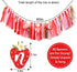 1st Strawberry Party Decorations for Birthday - Strawberry Highchair Banner, Sweet One Birthday Decorations, Best Sweet