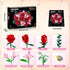 Set CUBIMANA Rose Flower Bouquet Building with LED - Red Rose Botanical Collection Kit for Adults Women