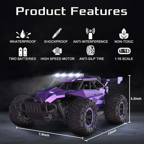 1:16 Scale Purple Remote Control Car, 20 Km/h High Speed Monster Vehicle with LED Headlights, RC Truck for Kids Adults