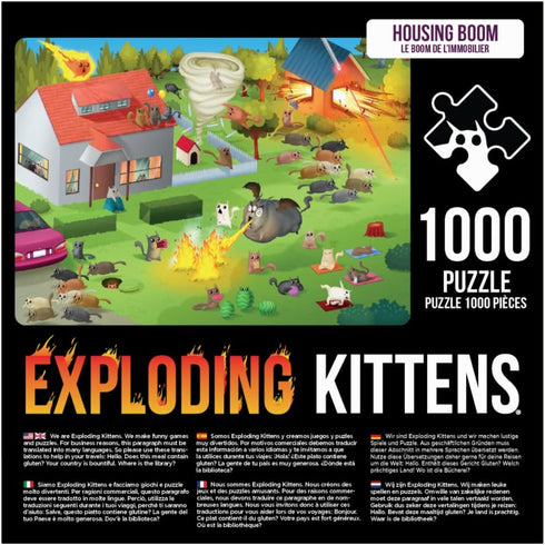 Housing Boom (1000)