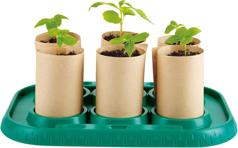 Hape Plant Growing Wooden Greenhouse Kits for Kids, STEM Project Activity Gardening Science Gifts