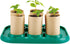 Hape Plant Growing Wooden Greenhouse Kits for Kids, STEM Project Activity Gardening Science Gifts