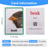 12PCS/Set Animals Body Parts Kids Gifts - English Flash Cards Pocket Card Educational Learning Toys