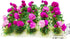 20Pcs Miniature Flower Cluster Grass Tufts for Mini Dollhouse Fairy Garden Railway Simulated Micro Landscape Model