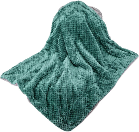 Cozy 3040, Fuzzy Sherpa Reversible Blanket for Baby, Soft Warm Coral Fleece Toddler, Infant or Newborn Reversible