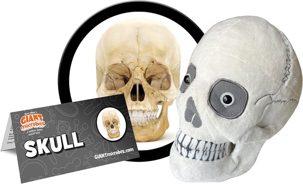 GIANTmicrobes Skull Plush, Anatomical Skull Gift, Halloween Decor, Anatomy Model, Skull Toy