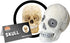 GIANTmicrobes Skull Plush, Anatomical Skull Gift, Halloween Decor, Anatomy Model, Skull Toy