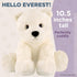 Bearington Everest The Polar Bear Plush, 10.5 Inch Polar Bear Stuffed Animal