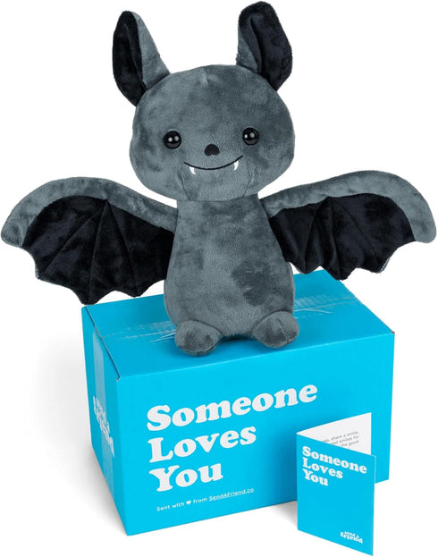 SendAFriend Binks The Bat Stuffed Animal Care Package, Someone Loves You Box,