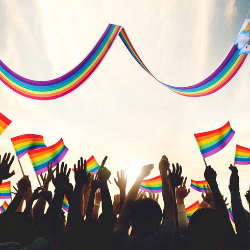 Blulu 1 Pc Rainbow Ceiling Decorations, Hanging Bunting for Birthday Party, Classroom, Daycare, Nursery School