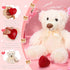 Libima 5 Pack 14" Bears Stuffed Animals with Voice Recorder Set, 30 Seconds Sound Recorder Module Plush Bear Toys