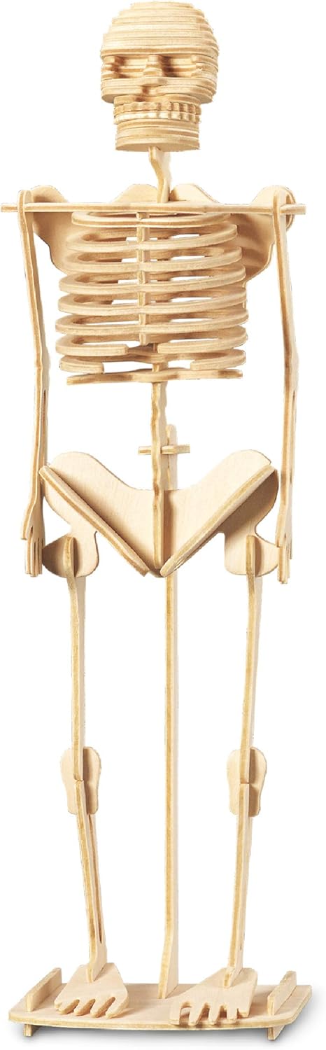 Puzzled 3D Puzzle Human Skeleton Wood Craft Model Kit, Fun DIY Wooden Toy for Decoration