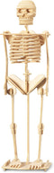 Puzzled 3D Puzzle Human Skeleton Wood Craft Model Kit, Fun DIY Wooden Toy for Decoration