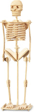Puzzled 3D Puzzle Human Skeleton Wood Craft Model Kit, Fun DIY Wooden Toy for Decoration