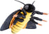 Giant Death's-Head Hawkmoth Plush Toy, Realistic 26in Soft Stuffed Animal, Unique Gift for Kids